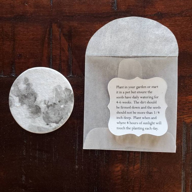 seed paper moon print with guide and envelope