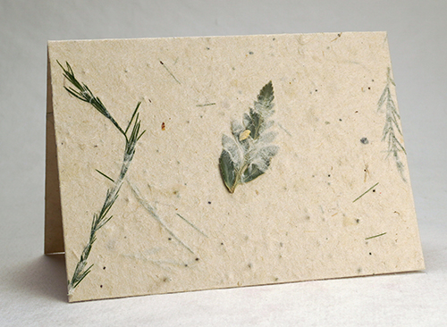 folding seed paper card with fern