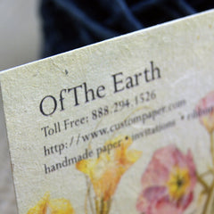 Collection image for: Business Cards