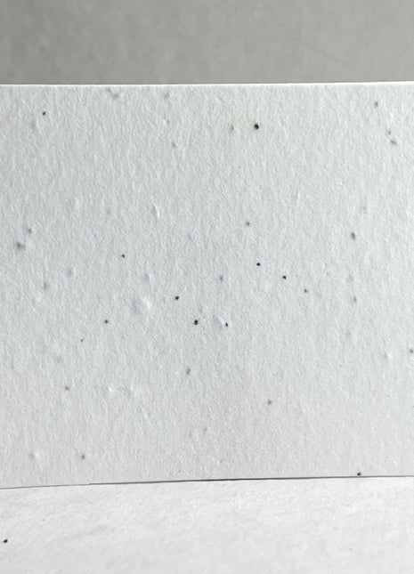 Custom, Personalized Seed Paper Card - 3.5" x 4.875" - Upload Your Art or Logo - Double Sided