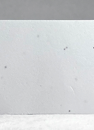 Custom, Personalized Seed Paper Business Card with Planting Instructions - 3.5" x 2" - Upload Your Art or Logo - Centered with Text on Reverse