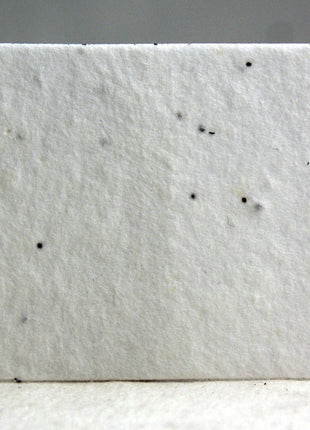 Custom, Personalized Seed Paper Business Card with Planting Instructions - 3.5 x 2 inch - Upload Your Art or Logo and Enter Text