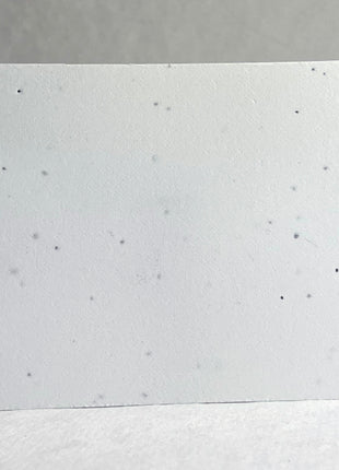 Custom, Personalized Seed Paper Card - 3.5" x 4.875" - Upload Your Art or Logo - Double Sided