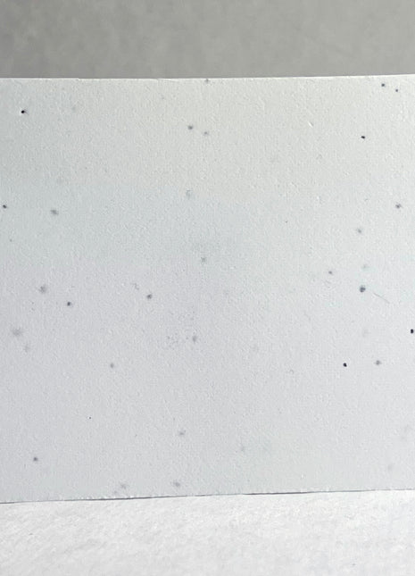Custom, Personalized Seed Paper Card - 3.5" x 4.875" - Upload Your Art or Logo - Double Sided