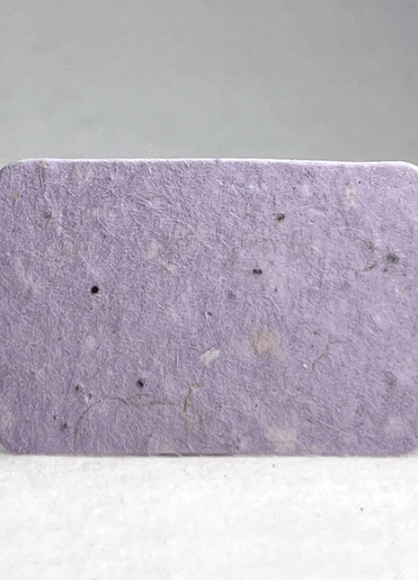 Personalized Seed Paper Gift Tag | Add Your Message, Choose Your Font | 1.5" x 3" Scalloped Tag | Set of 36