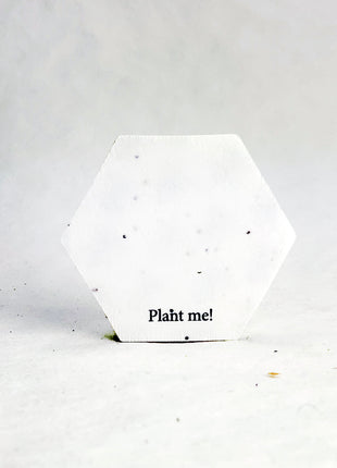 Custom Print Hexagon - Handmade Seed Paper - 2" - Set of 24