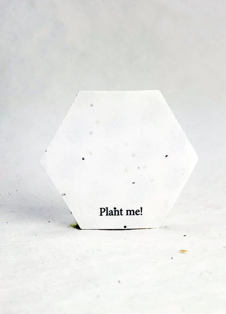 Custom Hexagon with Logo - Wildflower Seed Paper Tags - 2" - Plant Me! on Reverse - Set of 24