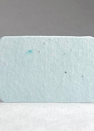 Personalized Seed Paper Gift Tag | Add Your Message, Choose Your Font | 1.5" x 3" Scalloped Tag | Set of 36