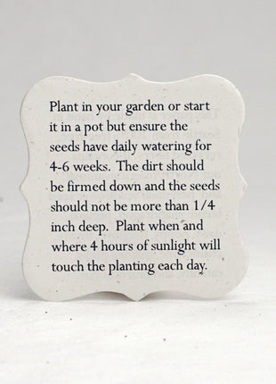 Bulk Set of 100 Tiny planting guide 1.75" x 1.75" double sided recycled paper inserts