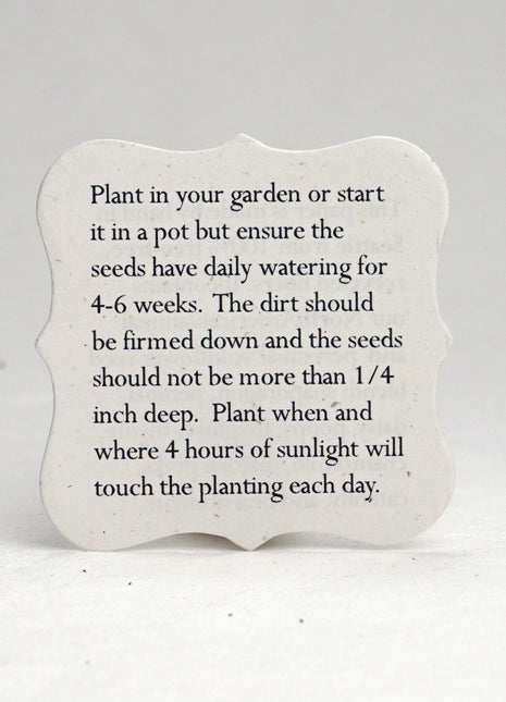 Bulk Set of 100 Tiny planting guide 1.75" x 1.75" double sided recycled paper inserts