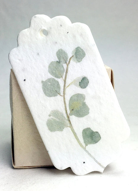 Personalized Seed Paper Gift Tags - 1.5" x 3" - Double Sided with Eucalyptus Art & Message - Set of 36 or 96
