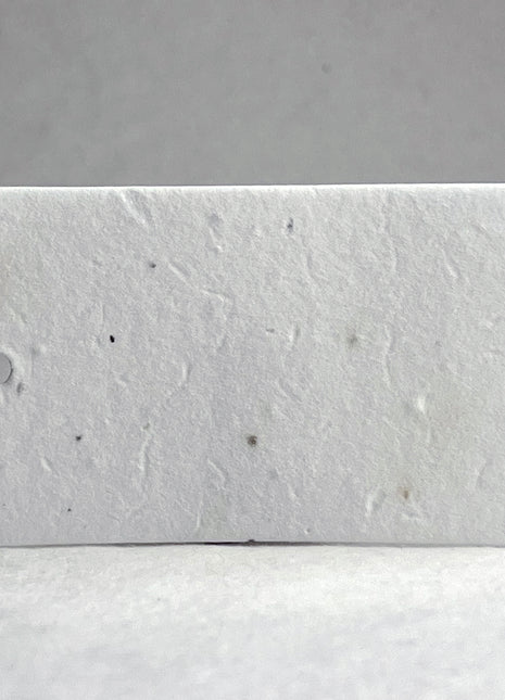 Custom, Personalized Tags - Wildflower Seed Paper - 3.5" by 2" - Set of 16 with Planting Guide - Horizontal