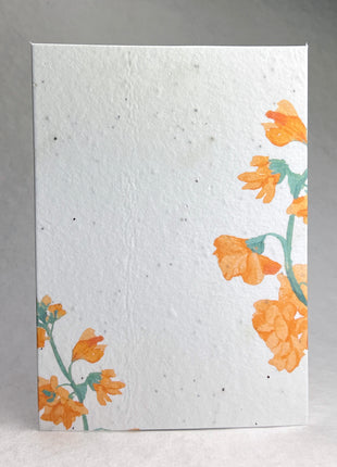 Handmade Seed Paper Invitations - 5" x 7" - Orange Blossom - Set of 4 with Envelopes