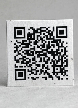 Handmade Seed Paper Squares - QR Code - 2" x 2" - Set of 24