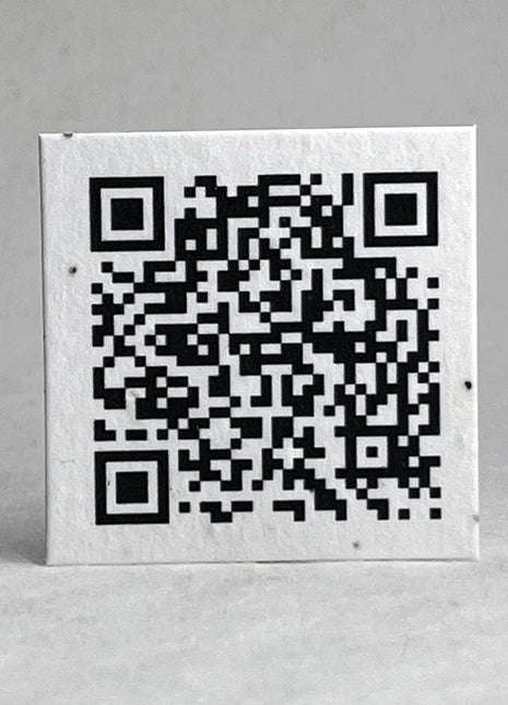 Handmade Seed Paper Squares - QR Code - 2" x 2" - Set of 24