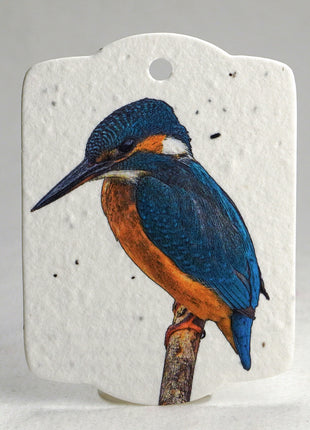 Custom Seed Paper Gift Tags - Double Sided Bird Art - 3.25" x 2.375" - Set of 16