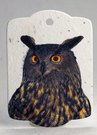 Custom Seed Paper Gift Tags - Double Sided Bird Art - 3.25" x 2.375" - Set of 16