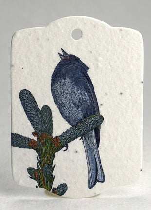Custom Seed Paper Gift Tags - Double Sided Bird Art - 3.25" x 2.375" - Set of 16