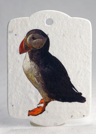 Custom Seed Paper Gift Tags - Double Sided Bird Art - 3.25" x 2.375" - Set of 16