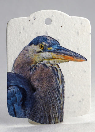 Custom Seed Paper Gift Tags - Double Sided Bird Art - 3.25" x 2.375" - Set of 16