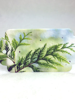 Personalized Seed Paper Gift Tags - 1.5" x 3" - Double Sided with Holiday Art & Message - Set of 36 or 96