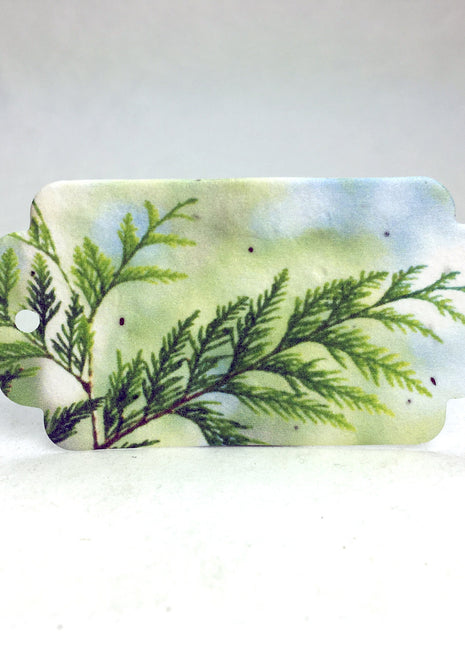 Personalized Seed Paper Gift Tags - 1.5" x 3" - Double Sided with Holiday Art & Message - Set of 36 or 96