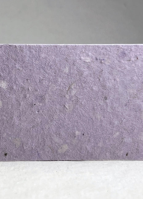 Custom, Personalized Tags - Wildflower Seed Paper - 3.5" by 2" - Set of 16 with Planting Guide - Horizontal