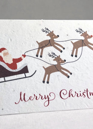 Personalized Christmas Cards - Add Message, Pick Image - Handmade Seed Paper - Set of 10 with Envelopes