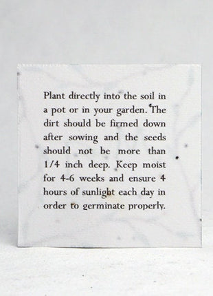 Handmade Seed Paper Squares - Custom Print - 2" x 2" - Set of 24 with Planting Directions