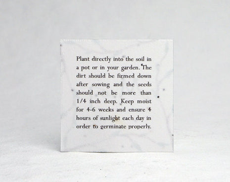 Handmade Seed Paper Squares - Logo Upload - 2" x 2" - Set of 24 with Planting Directions