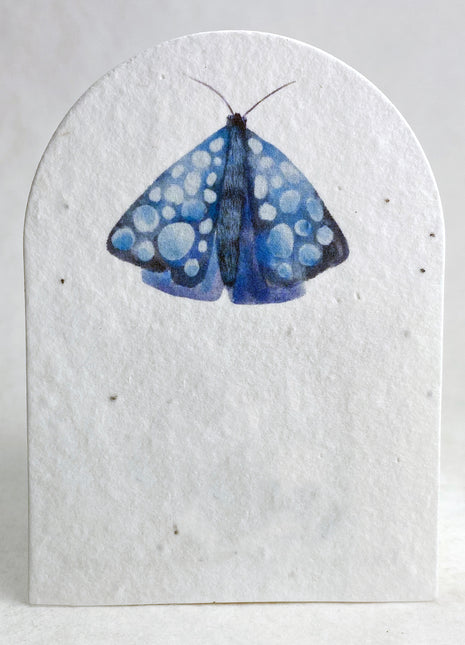 Personalized Arch Shape Card - 2.4" x 3.25" - Handmade Wildflower Seed Paper - Set of 18