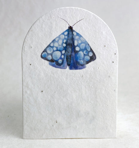 Personalized Arch Shape Card - 2.4" x 3.25" - Handmade Wildflower Seed Paper - Set of 18