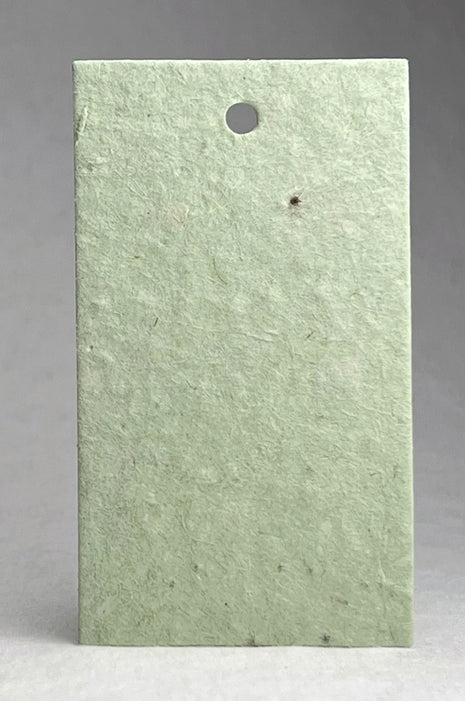 Custom, Personalized Tags - Wildflower Seed Paper - 3" by 2" - Set of 16 with Planting Guide